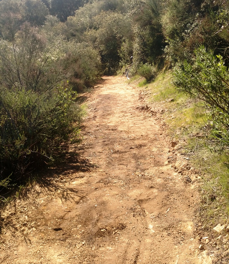 Trail after reshaping the out-slope back to specs